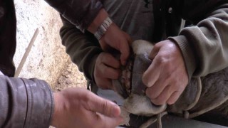 Küpeyi bırak dişe bak