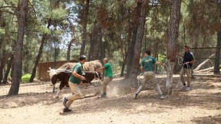 Kurban yakalama timi göreve hazır