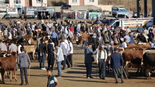 Kurbanlık alacaklar dikkat: “Hayvanlarda fiziki kusur olmaması gerek”