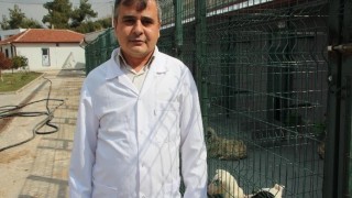 Kurbanlık alırken dikkat edilmesi gerekenler