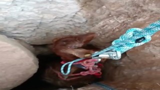 Kuyuya düşen keçi 2 saatlik çalışmayla kurtarıldı