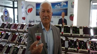 Lapsekinin bardağa sığmayan şampiyon kirazı belli oldu