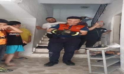 Mahsur kalan yavru kedi ve 4 yavru baykuşu itfaiye kurtardı