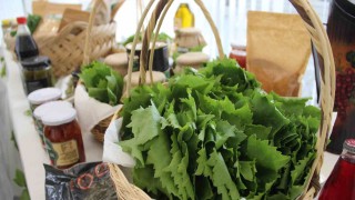 Manisa asma yaprağı değerine değer kattı