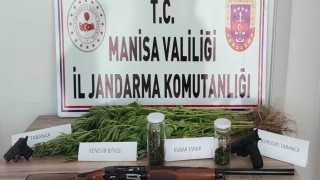 Manisada 45 kök kenevir ve 30 gram esrar ele geçirildi