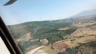 Manisada orman yangını