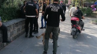 Manisada uyuşturucudan bir haftada 8 tutuklama