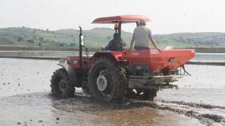 Manyasta çeltik ekimleri başladı
