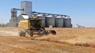 Mardinde biçerdöverlerin hasat biçme fiyatı belli oldu