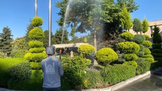 Mardinde ilaçlama çalışmaları devam ediyor