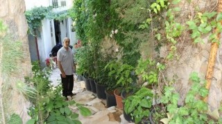 Mardinde tarihi sokak bahçeye dönüştürüldü