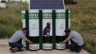 Meramda sokak hayvanlarının mama kapları artık otomatik dolacak