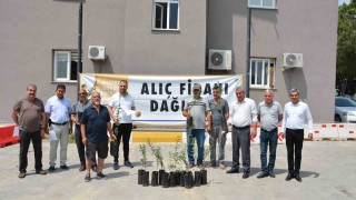 Mersin Büyükşehir Belediyesinin üreticiye desteği sürüyor