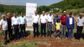 Mersin Erdemlide 850 rakıma modern ceviz bahçesi kuruldu