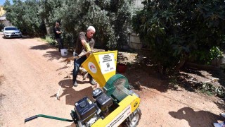 Mersinde muz üreticisine dal parçalama makinesi desteği