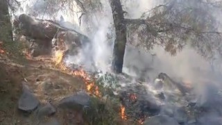 Mersinde orman yangını, 4 dönüm zarar gördü