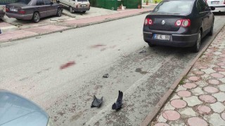 Motosikletin çarptığı doktor yaşam mücadelesini kaybetti