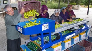 Muttaki erik üreticisine boylama makinesi desteği