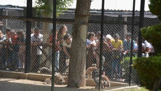 Öğrenciler LGS öncesi Tarsus Doğa Parkında stres attı