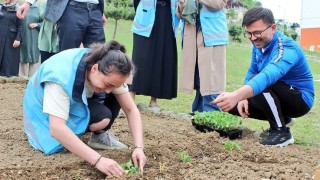 Öğrenciler sebze fidanı dikti