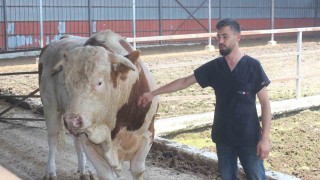 Onu gören şaşırıyor: İkinci el otomobil fiyatına alıcısını bekliyor