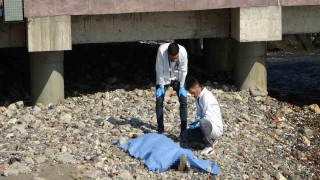 Orduda deniz kenarında erkek cesedi bulundu