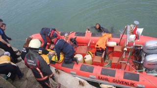 Orduda denize atlayan şahıs kurtarıldı