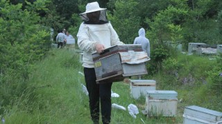 Ordulu arıcılar ‘çiçek balı için yaylalara göç başlattı