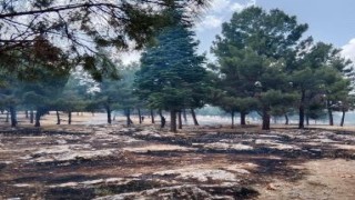 Ormanlık alanda çıkan yangın korkuttu