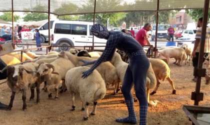 Örümcek Adam kurban pazarında