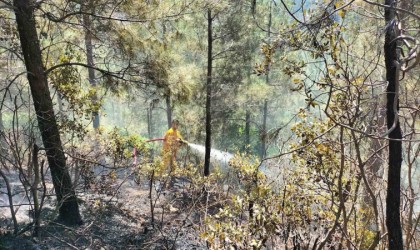 Osmaniyede orman yangını, ekipler havadan ve karadan müdahale etti