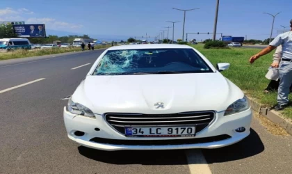 Otomobilin çarptığı anne öldü, 1 yaşındaki bebeği ağır yaralandı