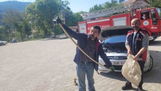 Otomobilin motoruna yılan girdi, gören hem şaşırdı hem korktu