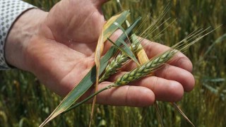 Prof. Dr. Kayadan çiftçilere Tarlalarınızı kontrol edin uyarısı