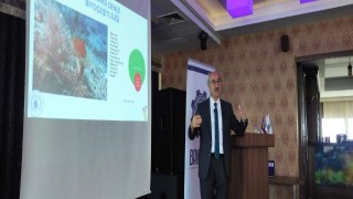 Prof. Dr. Sarı: Marmara Denizinde balık türlerimiz azaldı, habitat kayıpları yaşanıyor