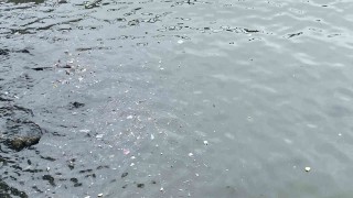 Sağanak yağış sonrası çöpler limanlara toplandı