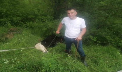 Sahibinden kaçan kurbanlık 4 kişiyi yaraladı, 6 saatte yakalanabildi