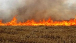 Salihlide anız yakana dekar başına 244 lira ceza