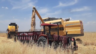 Samsat ilçesinde hububat hasadı başladı