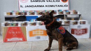 Samsunda jandarmadan kaçak makaron operasyonu