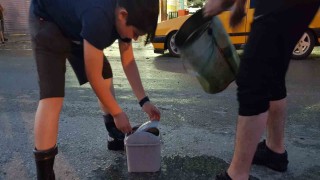 Samsunda selden etkilenen balıklar ırmağa bırakıldı