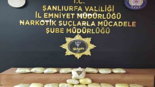 Şanlıurfada 20 kilo skunk ele geçirildi