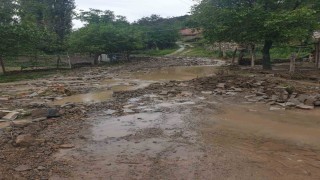 Sel kaldırım taşlarını yerinden söktü