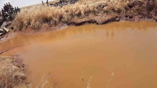 Serinlemek için girdiği gölette boğuldu