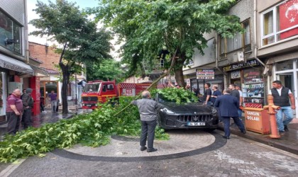 Şiddetli rüzgarda kırılan ağaç dalı, lüks otomobilin üzerine düştü