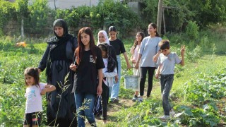 Şırnakın sebze ihtiyacını karşılamak için harekete geçildi