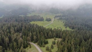 Sis ve yeşilin buluştuğu Kastamonu yaylalarında kartpostallık görüntüler oluştu