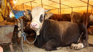 Sivas İl Tarım ve Orman Müdürlüğü uyardı