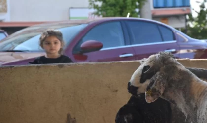 Sivas’ta kurban kesim yerlerinde hareketlilik