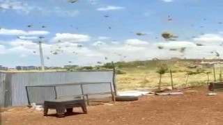 Siverekte çıkan hortum paniğe neden oldu